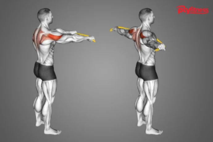 The Best Upper Body workout for Strength & Posture