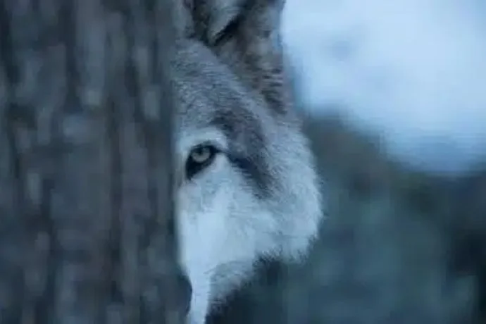 How I Made Fitness Fun and Got My Friends Involved