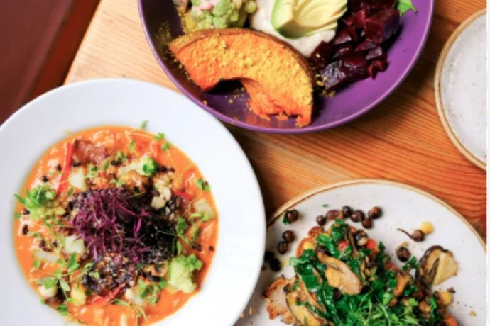 Why I Switched to a Plant-Based Diet for My Fitness Goals