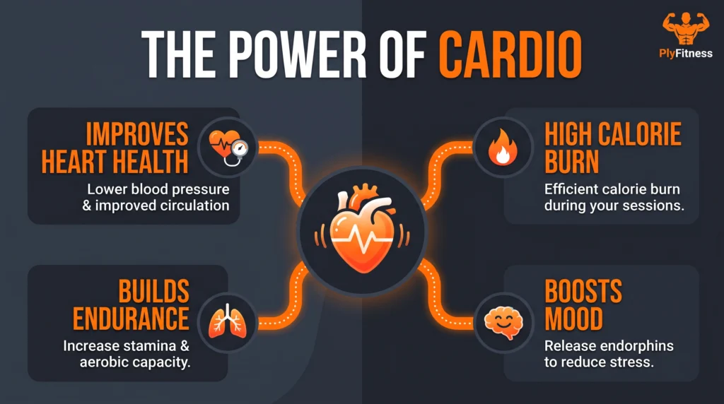 Educational infographic displaying the four main benefits of cardio: heart health, calorie burn, endurance, and mood enhancement